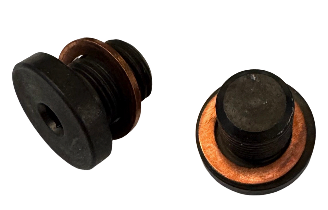 Lossa Engineering O2 block off screw kit for Triumph