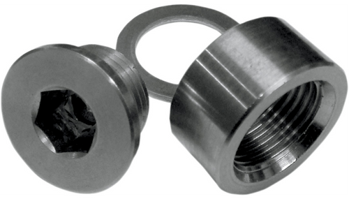 Lossa Engineering weld in O2 bung kit