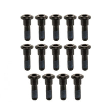 Motone TITAN BOLTS Titanium Brake Rotor Bolts for LQ Triumph/ dual disc