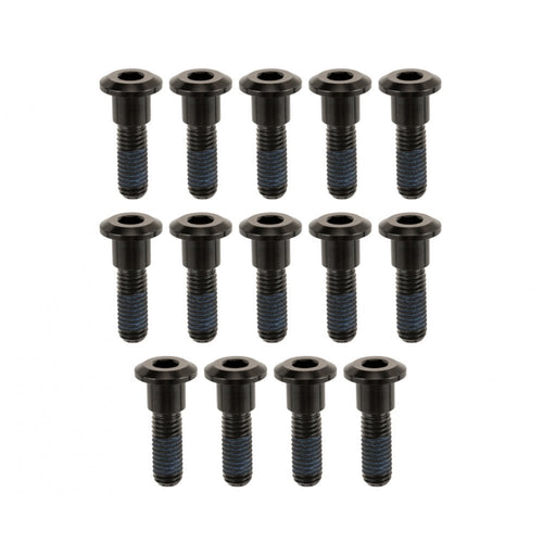 Motone TITAN BOLTS Titanium Brake Rotor Bolts for LQ Triumph/ dual disc