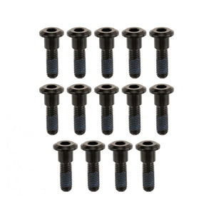 Motone TITAN BOLTS Titanium Brake Rotor Bolts for LQ Triumph/ dual disc