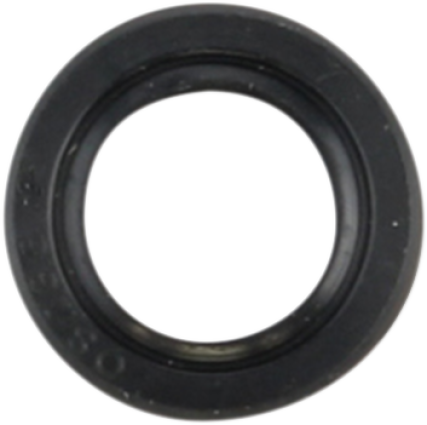 Triumph shift shaft seal